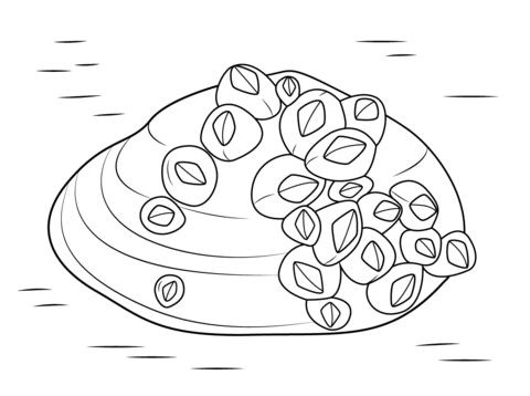 Barnacles On Soft Shell Clam Coloring Page